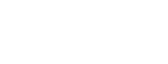 VisionLink